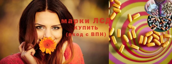 apvp Аркадак
