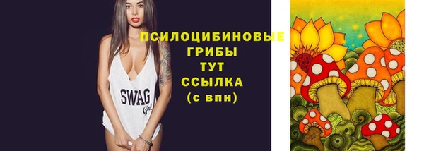apvp Аркадак