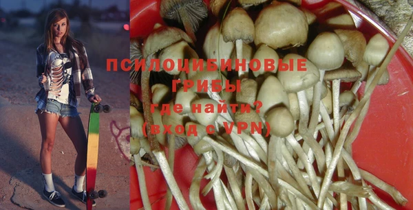 дурь Армянск