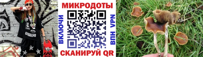 гидра ТОР  хочу наркоту  Белорецк  Галлюциногенные грибы ЛСД 